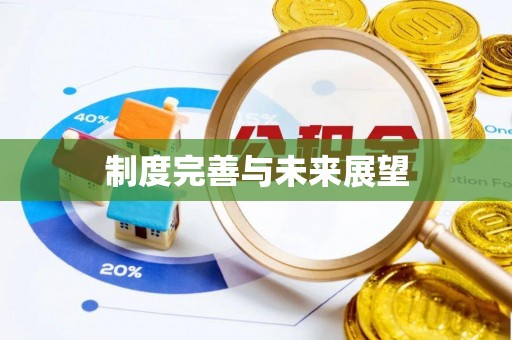 太谷制度完善与未来展望
